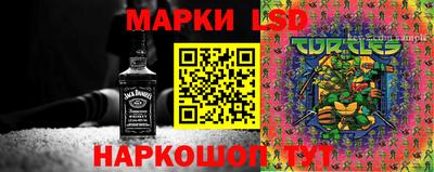 дмт Будённовск