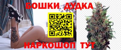 дмт Будённовск