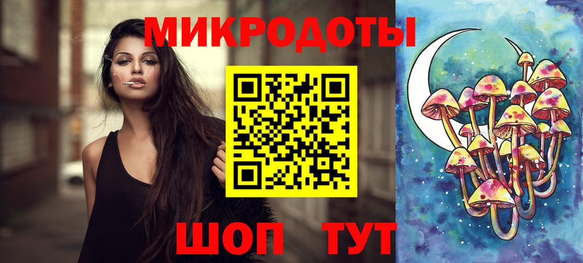 Псилоцибиновые грибы прущие грибы Славянск-на-Кубани
