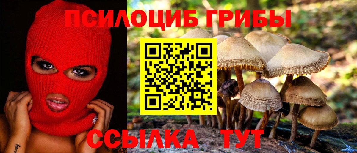 Галлюциногенные грибы Psilocybe  Вход с VPN  Славянск-на-Кубани  Галлюциногенные грибы мицелий 